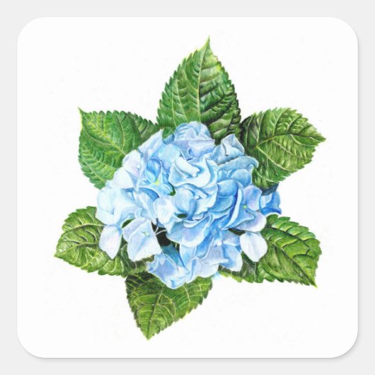 Blue Hydrangea Vierkante Sticker (Voorkant)