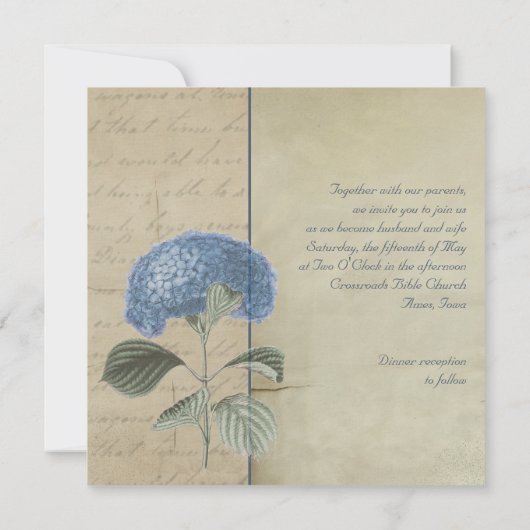 Blue Hydrangea Wedding Kaart (Achterkant)