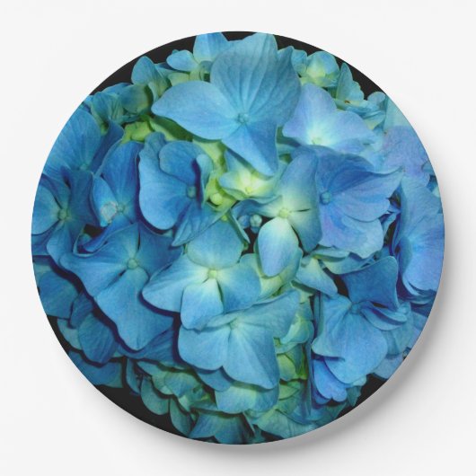 Blue Hydrangeas | Blauwe bloem foto Papieren Bordje (Voorkant)