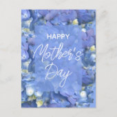 Blue Hydrangeas Blooms Moederdag Briefkaart (Voorkant)