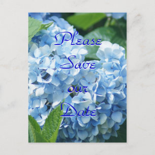 Blue Hydrangeas Enregistrer notre date carte posta