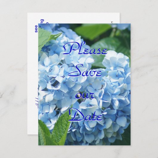 Blue Hydrangeas Enregistrer notre date carte posta (Devant / Derrière)