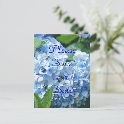 Blue Hydrangeas Enregistrer notre date carte posta (Debout devant)