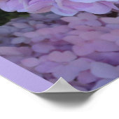 Blue Hydrangeas (Foto) Poster (Hoek)