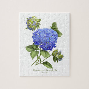 Blue Hydrangeas Legpuzzel