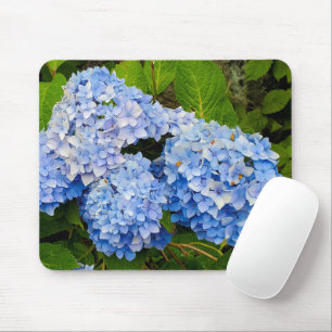Blue Hydrangeas Muismat