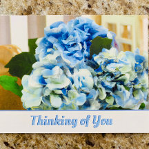 Blue Hydrangeas | Penser à votre carte postale