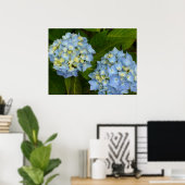 Blue Hydrangeas Poster (Thuiskantoor)
