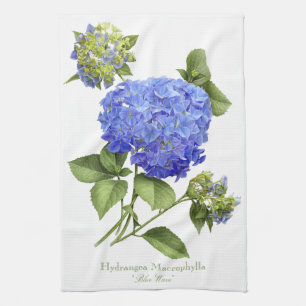 Blue Hydrangeas Theedoek