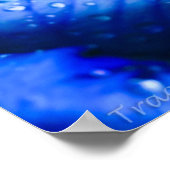 Blue Ice Roos Poster (Hoek)