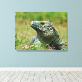 Blue Iguana Canvas Afdruk (Insitu (Houten vloer))