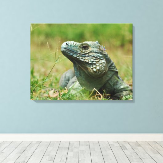 Blue Iguana Canvas Afdruk (Insitu (Houten vloer))