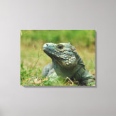 Blue Iguana Canvas Afdruk (Voorkant)