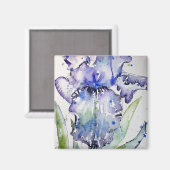 Blue Iris Art Waterverf Flower Art Magneet (Voorkant / Achterkant)