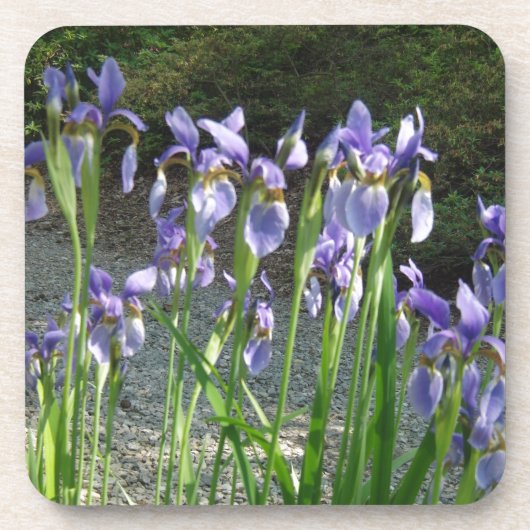 Blue Iris Drankjes Onderzetter (Voorkant)