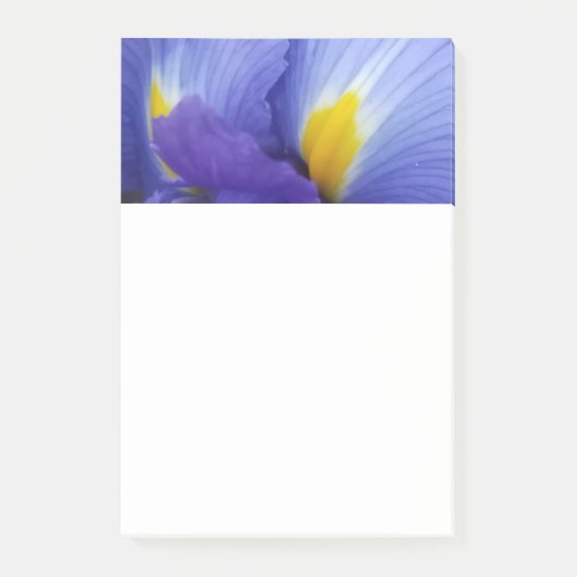 Blue Iris Flower 4x6 PostIt Notes (Voorkant)