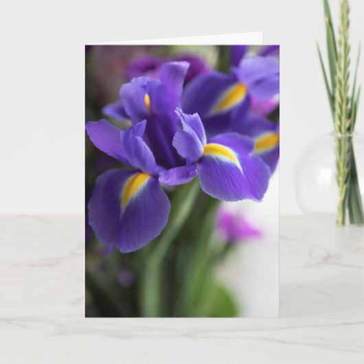 Blue Iris Flower Bouquet Kaart (Voorkant)