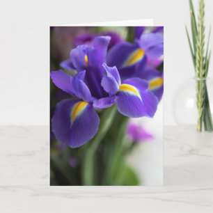 Blue Iris Flower Bouquet Kaart