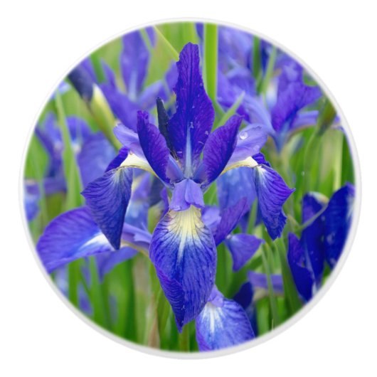 Blue Iris Flower Knob Keramische Knop (Voorkant)