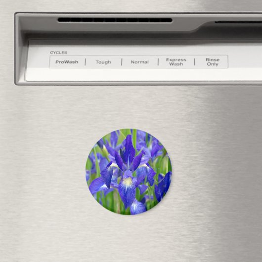 Blue Iris Flowers Magnet Magneet (Insitu (Vaatwasser))