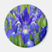 Blue Iris Flowers Magnet Magneet (Voorkant)