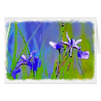 Blue Iris Garden Flowers Florists Designer Art