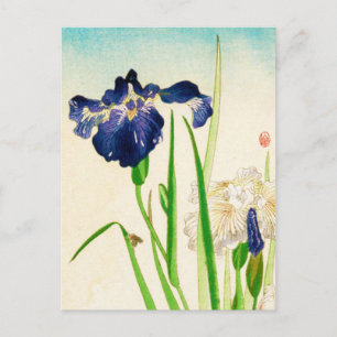Blue Iris - Japanse waterverf afdrukken Briefkaart