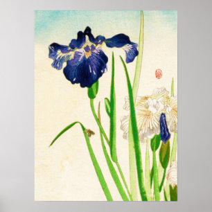 Blue Iris Japanse Waterverf Poster