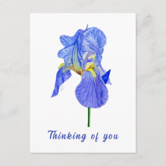 Blue Iris pense à vous carte postale (Devant)