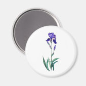 Blue Iris van PMACarlson Magneet (Voorkant / Achterkant)