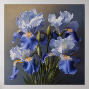 Blue Iriss Flower Art Print Poster