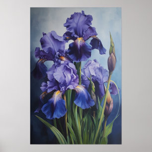 Blue Iriss Flower Art Print Poster