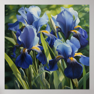 Blue Iriss Flower Art Print Poster