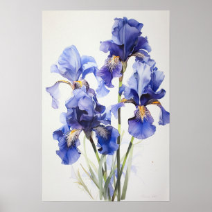 Blue Iriss Flower Art Print Poster