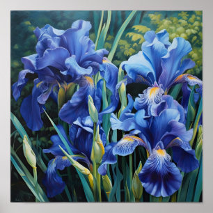 Blue Iriss Flower Art Print Poster