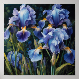Blue Iriss Flower Art Print Poster