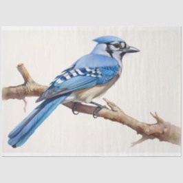 Blue Jay 3 Decoupage papier