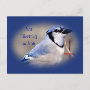 Blue Jay 8979- elke gelegenheid aanpassen Briefkaart