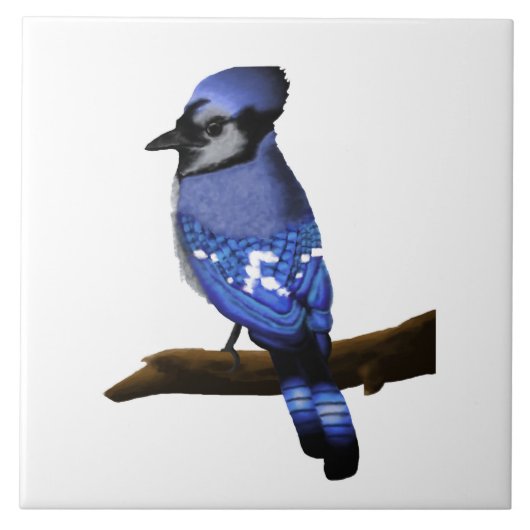 Blue Jay Art Tegeltje (Voorkant)