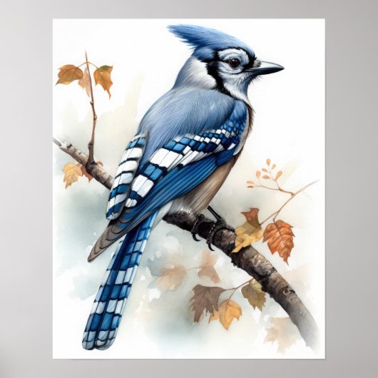 Blue Jay Bird Art Print Poster (Voorkant)