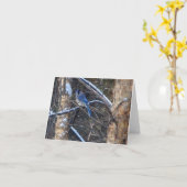 Blue Jay Bird in de winter Kaart (Gele Bloem)