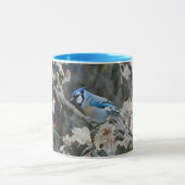 Blue Jay Bird Mok Cup (Midden)