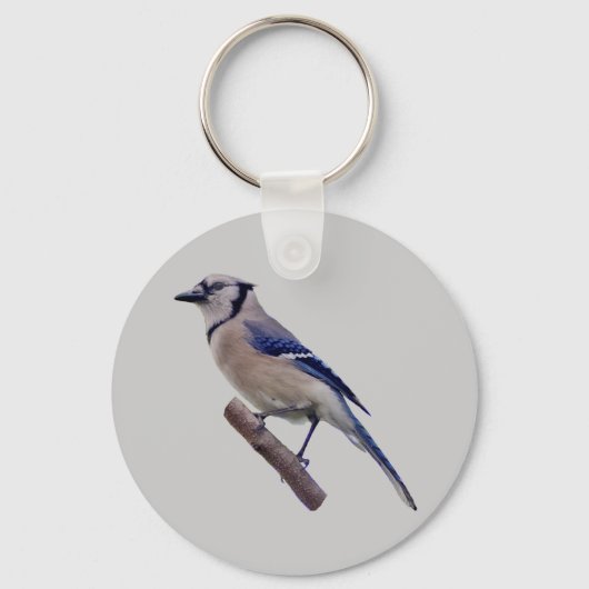 Blue Jay Bird Sleutelhanger (Voorkant)