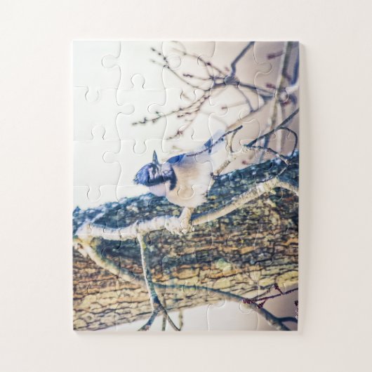Blue Jay Bird te groot Legpuzzel (Verticaal)