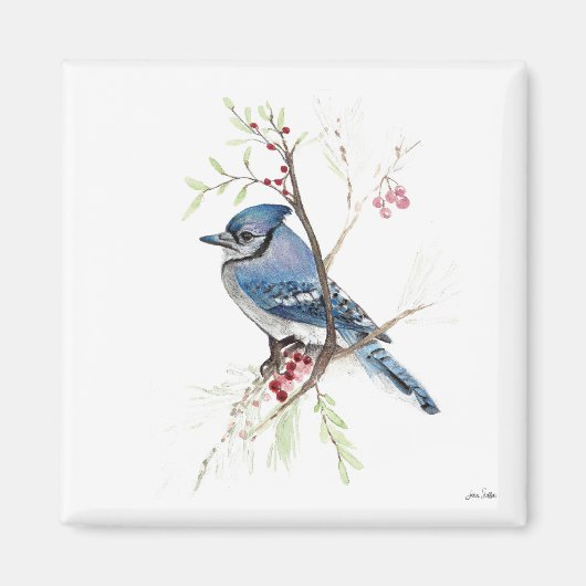 Blue Jay Bird Waterverf Art Magnet Magneet (Voorkant)