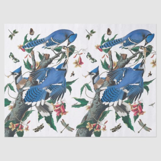 Blue Jay Birds Collage Pattern. Tissuepapier (Voorkant)