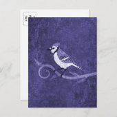 Blue Jay Briefkaart (Voorkant / Achterkant)