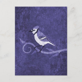 Blue Jay Briefkaart