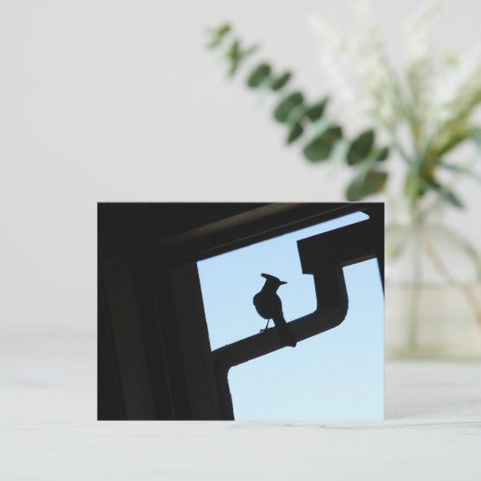 Blue Jay Briefkaart (Staand voorkant)