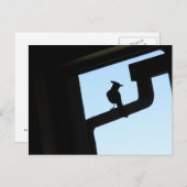 Blue Jay Briefkaart (Voorkant / Achterkant)
